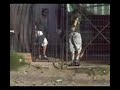 weando con los cabros XD!!!.mov.3GP