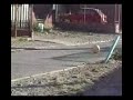 weando con los cabros XD!!!.mov.3GP