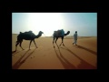 the beauty of morocco /sahara/ desert