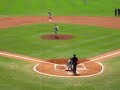 Tigers in Tampa