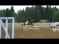 Mimmi Horse Show- 70cm and 90cm