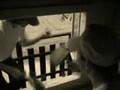Stummfilm: Das Baumhaus