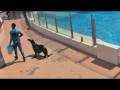 Ocean Park tower & Ocean theatre part 1 20.mov