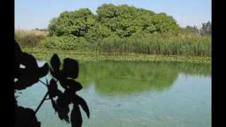 عين قرية جاحولا المهجرة - عين بلاطة -قرى مهجرة حول سهل الحولة