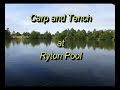 Ryton Carp and Tench 02