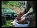 Ryton Carp and Tench 02