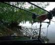 Ryton Carp and Tench 02