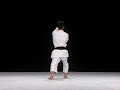 Bassai Dai - WKF Shitei Shito Ryu Bassai Dai - WKF Shitei Shito Ryu