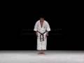 Bassai Dai - WKF Shitei Shito Ryu