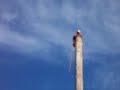 BC Logging Sports Drunk Man Climbs 80 Foot Tree
