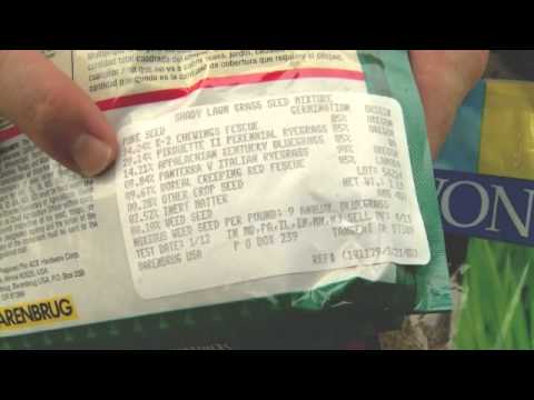 how to fertilize lawn in summer