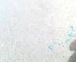 Jampi  cara de carapulcra con arena