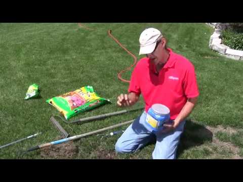how to replant grass in bare spots