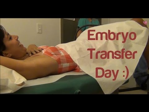 how to embryo transplant