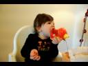 DSC_0217.AVI