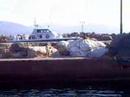molivos 2007