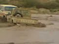 Algeria tourism (cars driver.)
