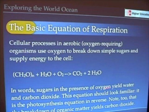 npp - In this segment, I introduce the basis for the light-dark bottle method for estimating primary productivity in the ocean. Here we cover the simple relationsh...