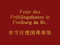 Frühlingsfest 2008 in Freiburg im Br.