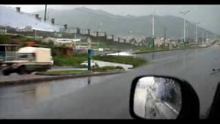 Al Shaib