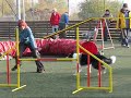 Moony - Agility tr�nink v B?ezin?vsi - 25. 10. 2008