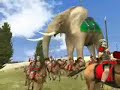 Rome Total War: Elephant Mercy