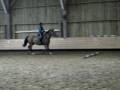 videos de Equit ! 2