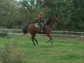 \"Gelanor\" Training Part 6 - retraining exrace horse \"Gelanor\" Training Part 6 - retraining exrace horse