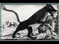 El lince Iberic un mal de cap pels veïns?