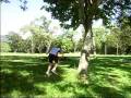 videos de Jakk Doing Backflip Up a Tree