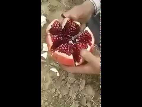 how to properly deseed a pomegranate