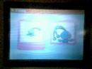 rare pokemon in the pokedex