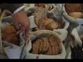 Breads of the World