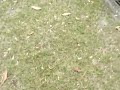 M4V00823.MP4