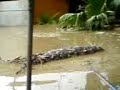 inundacion
