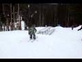 Jibbin Dog Patch