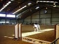 FFP 1/12 Horse Show. Cantering Lilly Again