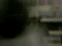 shotaro???????????? ??????2008/07/02 shotaro???????????? ??????2008/07/02