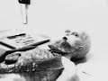 Autopsia a extraterrestre ovni.blogsome.com Alien Autopsy