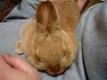 A&nbsp;comfortable&nbsp;massage&nbsp;-&nbsp;マッサージ気持ちいい〜