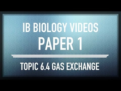 how to study for ib biology sl exam