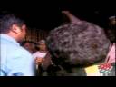 Mumbai chaos: CNN reporter gets pushed and shoved
