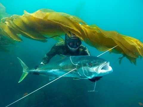 spearfishing