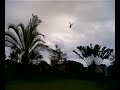 The small Coaxial Rc Helicopter WIND FIGHT!