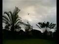 videos de The small Coaxial Rc Helicopter WIND FIGHT!