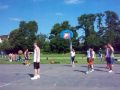 Nike Court Cologne
