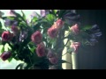 Sierra Hull Daybreak Official Music Video and Lyrics