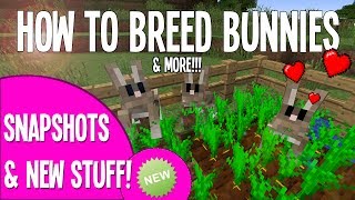HOW TO BREED&TAME RABBITS IN MINECRAFT!!! [1.8 BUNNIES]