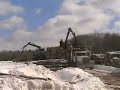 Iola Farm Logging