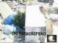 Napoli e ancora spazzatura. 8/settembre/2008